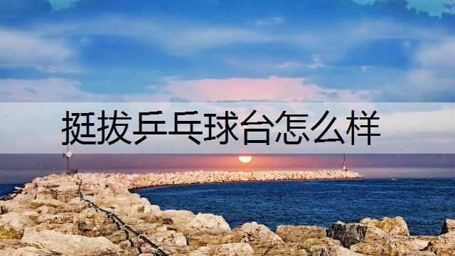 挺拔乒乓球台怎么样