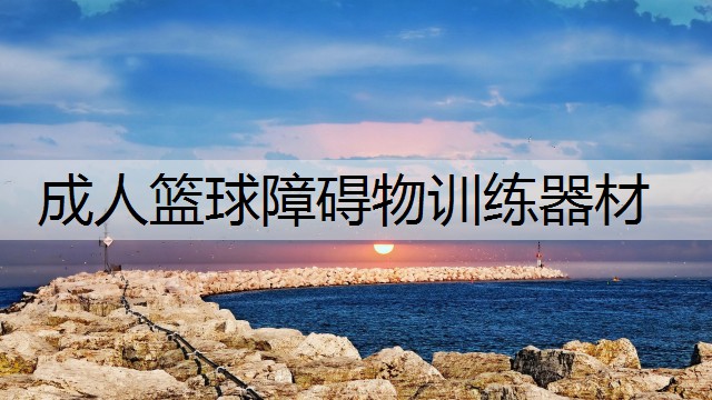 成人篮球障碍物训练器材