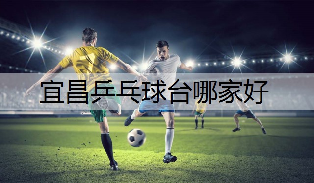宜昌乒乓球台哪家好
