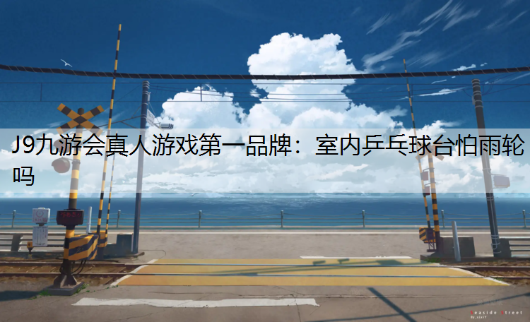 室内乒乓球台怕雨轮吗