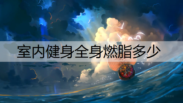 室内健身全身燃脂多少