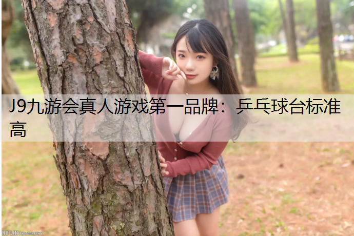 乒乓球台标准高