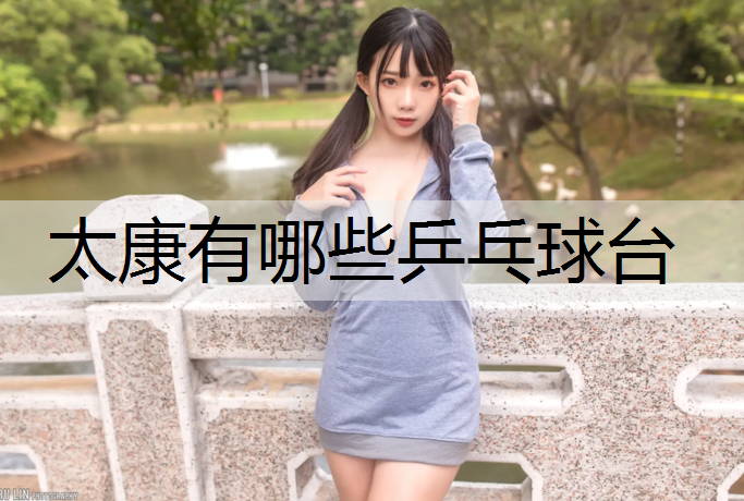 太康有哪些乒乓球台