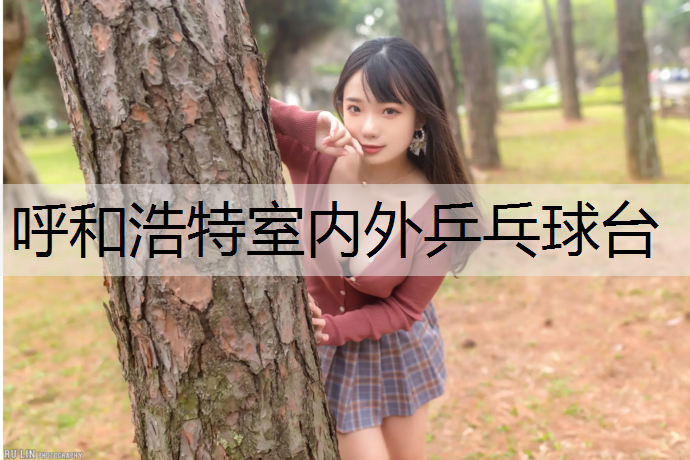 呼和浩特室内外乒乓球台