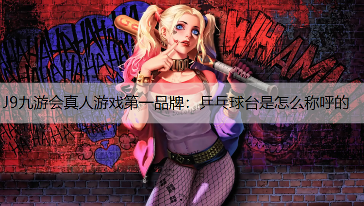乒乓球台是怎么称呼的